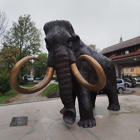 Apartma Mamut 1850 Kamnik Exteriör bild