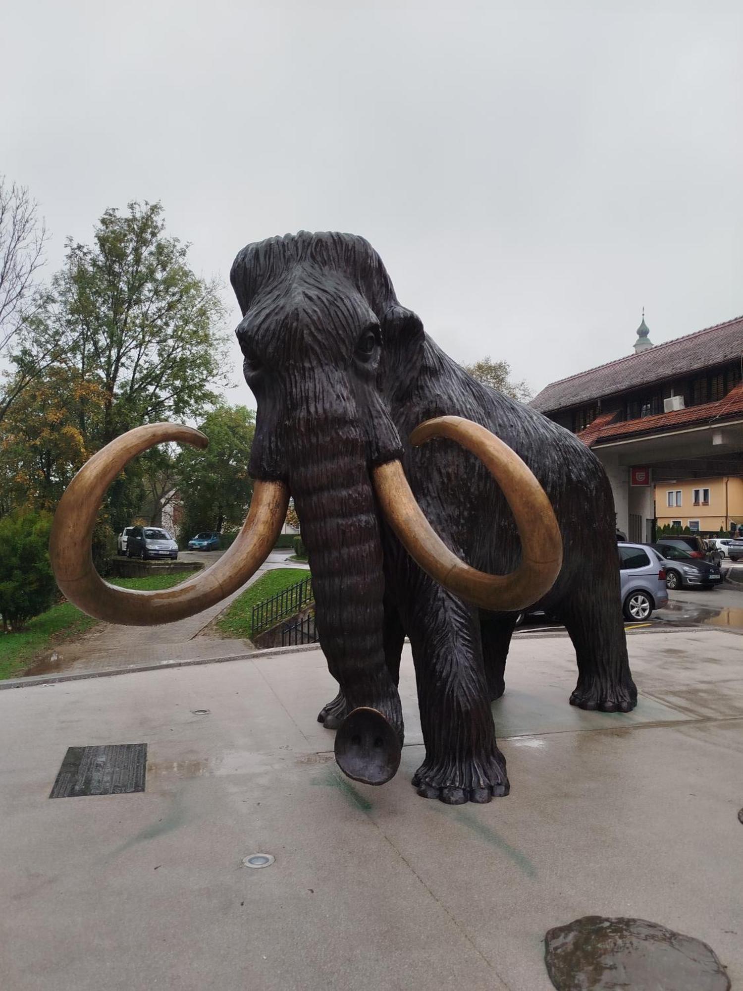 Apartma Mamut 1850 Kamnik Exteriör bild